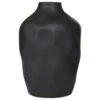 Maple And Jade Ceramic Modern Vase In Black -Home Decoration Series 64004336 1