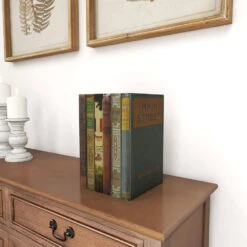 Maple And Jade Book Box In Multicolor (Set Of 6) -Home Decoration Series 64009301 14