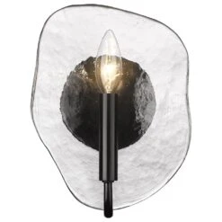 Golden Lighting Samara 1-Light Wall Sconce In Matte Black -Home Decoration Series 64154172 3