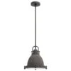 Hunter Bridgemoor 1-Light Pendant In Noble Bronze -Home Decoration Series 64206063 1