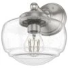 Hunter Saddle Creek 1-Light Sconce With Clear Seeded Shade In Brushed Nickel -Home Decoration Series 64206303 1