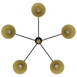 Hunter Grove Isle 5-Light Chandelier In Matte Black -Home Decoration Series 64206766 4