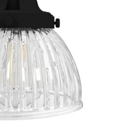 Hunter Cypress Grove 1-Light Mini Pendant In Natural Iron -Home Decoration Series 64207061 2