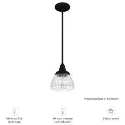 Hunter Cypress Grove 1-Light Mini Pendant In Natural Iron -Home Decoration Series 64207061 4